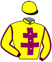 casaque portée par Lecoeuvre C. jockey du cheval de course RAJMAMAILLE, information pmu ZETURF