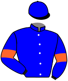 casaque portée par Boutin Hug. jockey du cheval de course HER CHRISTOPHER, information pmu ZETURF