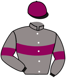 casaque portée par Mosse A. jockey du cheval de course JUSSIFER, information pmu ZETURF