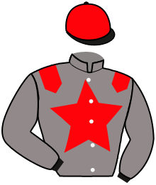 casaque portée par Dupuis Mlle A. jockey du cheval de course JOUNA DE LAURMA, information pmu ZETURF casaque portée par Dupuis Mlle A. jockey du cheval de course JOUNA DE LAURMA, information pmu ZETURF