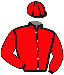 casaque portée par Laisis D. jockey du cheval de course JEANNOT DU VALLON, information pmu ZETURF casaque portée par Laisis D. jockey du cheval de course JEANNOT DU VALLON, information pmu ZETURF