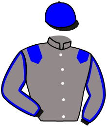 casaque portée par Lebouc Hug. jockey du cheval de course BAILEYS TOPAZE, information pmu ZETURF