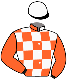 casaque portée par Piccone T. jockey du cheval de course YELLOW HAWK, information pmu ZETURF