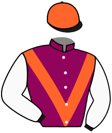 casaque portée par Waldhauser Mlle M. jockey du cheval de course IDAHO JAMES, information pmu ZETURF