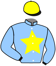 casaque portée par Sanchez Gar. jockey du cheval de course MERLE, information pmu ZETURF