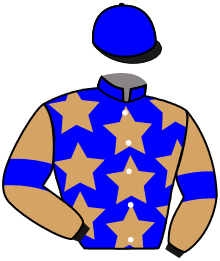 casaque portée par Merille C. jockey du cheval de course AMAZING CHRISTMAS, information pmu ZETURF