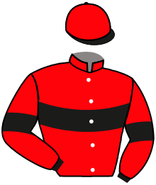 casaque portée par Foulon M. jockey du cheval de course NENA, information pmu ZETURF