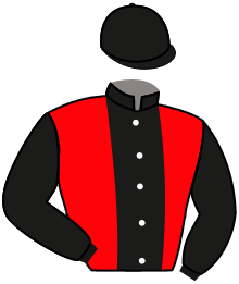 casaque portée par Dubord Rom. jockey du cheval de course READYSTORM, information pmu ZETURF