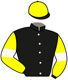 casaque portée par Mouesan H. jockey du cheval de course LE CONQUERANT, information pmu ZETURF casaque portée par Mouesan H. jockey du cheval de course LE CONQUERANT, information pmu ZETURF