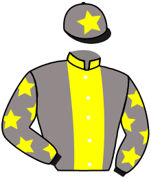 casaque portée par Paiva Lopes Bru. A. jockey du cheval de course GAYLE, information pmu ZETURF casaque portée par Paiva Lopes Bru. A. jockey du cheval de course GAYLE, information pmu ZETURF