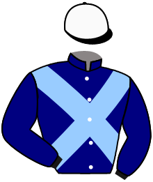 casaque portée par Merille C. jockey du cheval de course AMORETTI, information pmu ZETURF casaque portée par Merille C. jockey du cheval de course AMORETTI, information pmu ZETURF