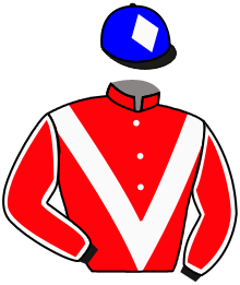 casaque portée par Lauron M. jockey du cheval de course DAYAK, information pmu ZETURF casaque portée par Lauron M. jockey du cheval de course DAYAK, information pmu ZETURF