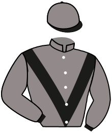 casaque portée par Romary Mlle M. jockey du cheval de course AMBRA SAINT LON, information pmu ZETURF casaque portée par Romary Mlle M. jockey du cheval de course AMBRA SAINT LON, information pmu ZETURF