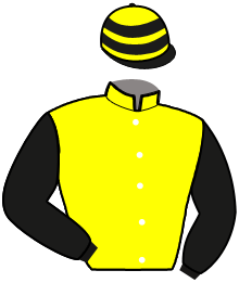 casaque portée par Delacour P. A. jockey du cheval de course ICARE D'ACADIE, information pmu ZETURF casaque portée par Delacour P. A. jockey du cheval de course ICARE D'ACADIE, information pmu ZETURF