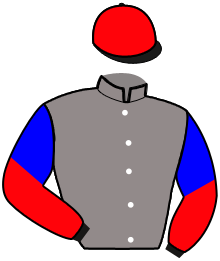 casaque portée par Dudouit M. jockey du cheval de course MANILLE SOMOLLI, information pmu ZETURF