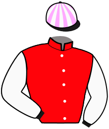casaque portée par Letouze E. jockey du cheval de course MANDARINE BAM, information pmu ZETURF