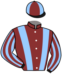 casaque portée par Velon Mlle M. jockey du cheval de course YES ZARA, information pmu ZETURF