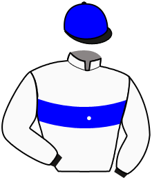 casaque portée par Provost D. jockey du cheval de course MOONLABEL, information pmu ZETURF casaque portée par Provost D. jockey du cheval de course MOONLABEL, information pmu ZETURF
