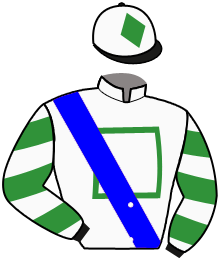 casaque portée par Plommee Léo. jockey du cheval de course TORTOLA, information pmu ZETURF casaque portée par Plommee Léo. jockey du cheval de course TORTOLA, information pmu ZETURF