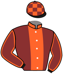 casaque portée par Carre Dor. jockey du cheval de course INFANTE DE L'ISLE, information pmu ZETURF casaque portée par Carre Dor. jockey du cheval de course INFANTE DE L'ISLE, information pmu ZETURF