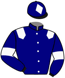casaque portée par Besnard Mme Mar. jockey du cheval de course DREAM DEVIL, information pmu ZETURF casaque portée par Besnard Mme Mar. jockey du cheval de course DREAM DEVIL, information pmu ZETURF