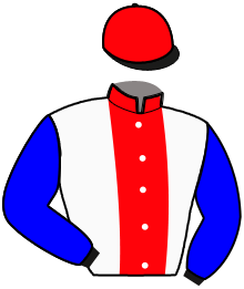 casaque portée par Gelormini G. jockey du cheval de course LOLA DU CAMPUS, information pmu ZETURF