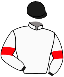 casaque portée par Guedj-gay G. jockey du cheval de course ANDUGAL, information pmu ZETURF