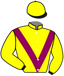casaque portée par Lopes Duarte Nun. M. jockey du cheval de course WITE TOAST, information pmu ZETURF