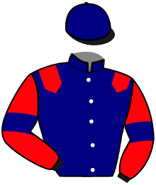 casaque portée par Groussard L. jockey du cheval de course IZAAC D'HAVAROCHE, information pmu ZETURF