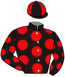 casaque portée par Poilane S. jockey du cheval de course IZELBIO, information pmu ZETURF