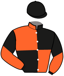casaque portée par Bonne D. jockey du cheval de course IMPERIALE MIVENCE, information pmu ZETURF