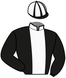 casaque portée par Feron J. Ch. jockey du cheval de course ICARE DE JAUNOUX, information pmu ZETURF casaque portée par Feron J. Ch. jockey du cheval de course ICARE DE JAUNOUX, information pmu ZETURF