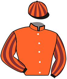 casaque portée par Derieux R. jockey du cheval de course MURIETTA, information pmu ZETURF casaque portée par Derieux R. jockey du cheval de course MURIETTA, information pmu ZETURF