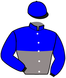 casaque portée par Gauvin M. jockey du cheval de course LITTLE MARCEAUX, information pmu ZETURF casaque portée par Gauvin M. jockey du cheval de course LITTLE MARCEAUX, information pmu ZETURF