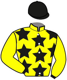 casaque portée par Julien N. jockey du cheval de course LADY DE NIMES, information pmu ZETURF casaque portée par Julien N. jockey du cheval de course LADY DE NIMES, information pmu ZETURF