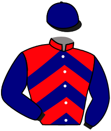 casaque portée par Delepine Y. jockey du cheval de course QUEEN DE TEILLEE, information pmu ZETURF casaque portée par Delepine Y. jockey du cheval de course QUEEN DE TEILLEE, information pmu ZETURF