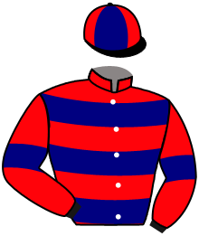 casaque portée par Bachelot T. jockey du cheval de course NORTH SHORE, information pmu ZETURF