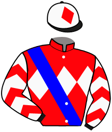 casaque portée par Marie Benj. jockey du cheval de course DISARMARINE, information pmu ZETURF