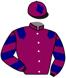 casaque portée par Bergeron X. jockey du cheval de course SINGEL MALT, information pmu ZETURF casaque portée par Bergeron X. jockey du cheval de course SINGEL MALT, information pmu ZETURF