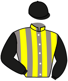 casaque portée par Cadel C. jockey du cheval de course LADY DARKA, information pmu ZETURF casaque portée par Cadel C. jockey du cheval de course LADY DARKA, information pmu ZETURF