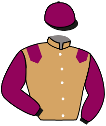 casaque portée par Ewan Oudin jockey du cheval de course MISTER GEO, information pmu ZETURF