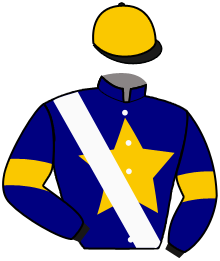 casaque portée par Castillon Mme L. jockey du cheval de course JONH LEMON, information pmu ZETURF