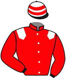 casaque portée par Topin Mme S. jockey du cheval de course LORETTEDESOUCHEZ, information pmu ZETURF