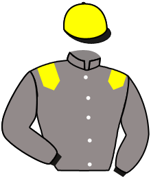casaque portée par Janacek V. jockey du cheval de course FANTASTIC CHARM, information pmu ZETURF casaque portée par Janacek V. jockey du cheval de course FANTASTIC CHARM, information pmu ZETURF