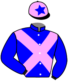 casaque portée par Dubord Rom. jockey du cheval de course ADA THORNE, information pmu ZETURF casaque portée par Dubord Rom. jockey du cheval de course ADA THORNE, information pmu ZETURF