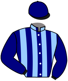 casaque portée par Le Quilleuc S. jockey du cheval de course AMITY, information pmu ZETURF casaque portée par Le Quilleuc S. jockey du cheval de course AMITY, information pmu ZETURF