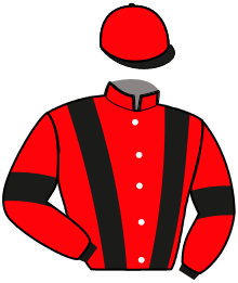 casaque portée par Vanmeerbeck J. jockey du cheval de course MILKA LIO, information pmu ZETURF