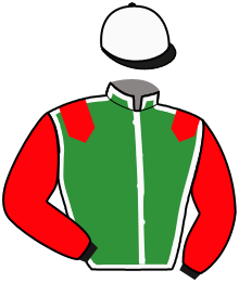 casaque portée par Raffin E. jockey du cheval de course MAN OF STEEL, information pmu ZETURF