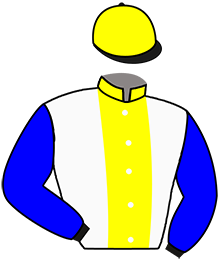 casaque portée par Abrivard A. jockey du cheval de course DISTILLATO, information pmu ZETURF casaque portée par Abrivard A. jockey du cheval de course DISTILLATO, information pmu ZETURF