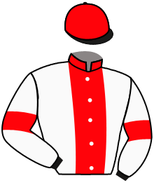 casaque portée par Barzalona M. jockey du cheval de course ABANDO, information pmu ZETURF casaque portée par Barzalona M. jockey du cheval de course ABANDO, information pmu ZETURF